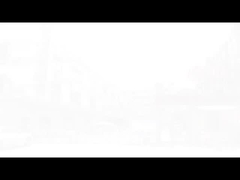 공장 전시:주제품은 종이 분쇄기, 라미네이터, 빗 묶기 기계 및 종이 트림러